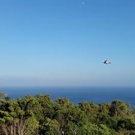 Gois Machico (Madeira)