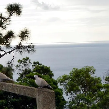 Διαμέρισμα Gois