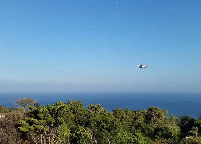 Gois Machico (Madeira)